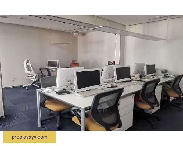 九州体育APP全新升级功能解析助力用户畅享体育资讯体验